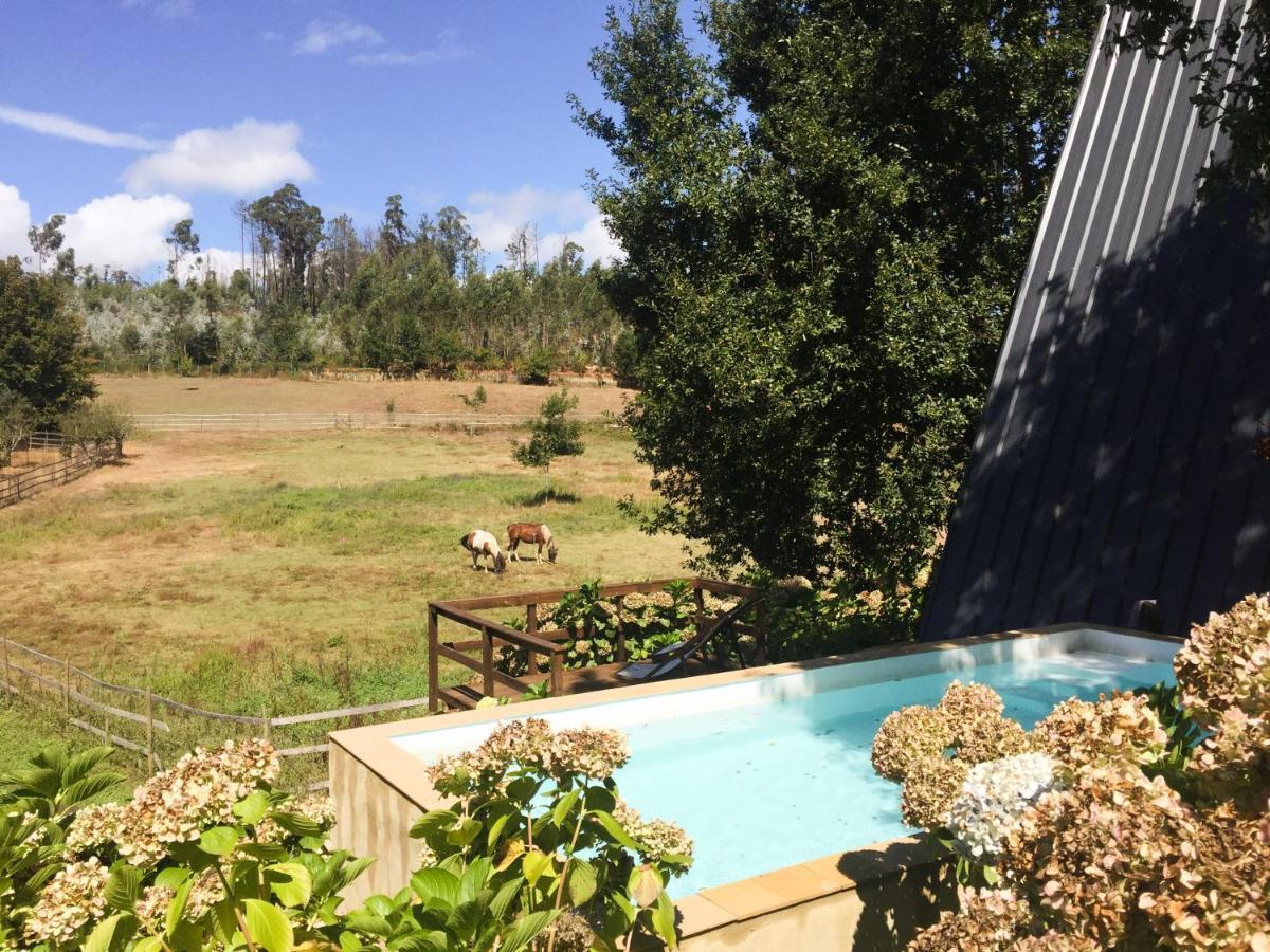 Vale Da Silva Villas - Quinta Albergaria-a-Velha Buitenkant foto