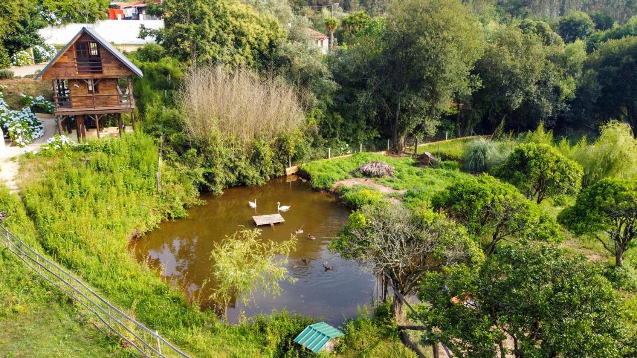 Vale Da Silva Villas - Quinta Albergaria-a-Velha Buitenkant foto