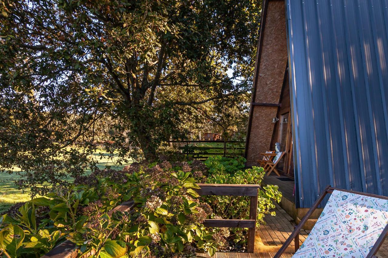 Vale Da Silva Villas - Quinta Albergaria-a-Velha Buitenkant foto